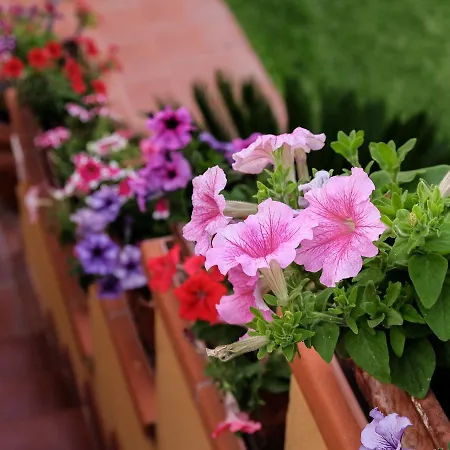 Casa Timperosse Holiday home Donnalucata (Sicily)